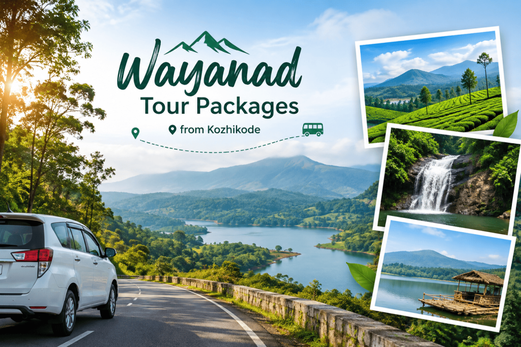 Wayanad Tour Packages from Kozhikode: Places to Visit, Itineraries and What We Offer